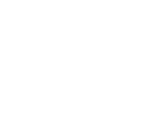 Ally logo