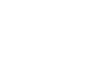 Beirne logo