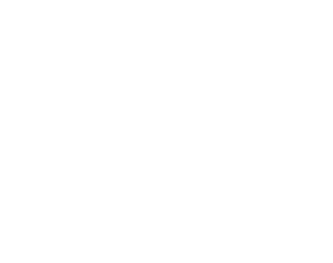 Blitz logo