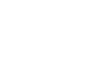 Budweiser logo