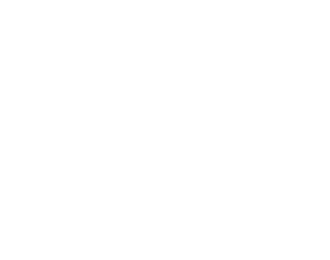 Fine Fettle logo