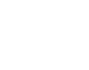 Nesso logo