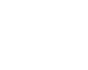 Phoenix logo