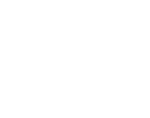 Sonic logo