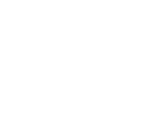 University of New Hampshire logo