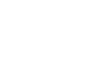 Wayback Burgers logo