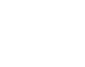 Webster Bank logo