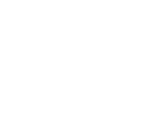 Yale Logo