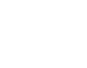 citi logo