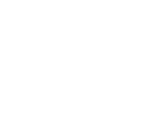 sperry logo