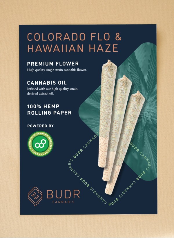 BUDR Dispensary poster mockup