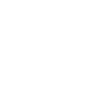 Team Zak logo